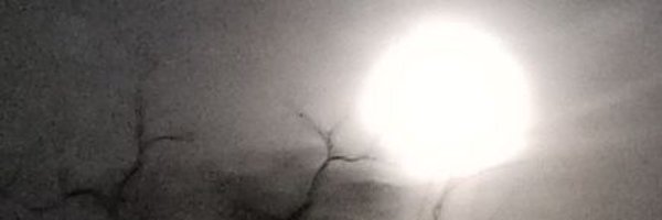 Toria6541 Profile Banner