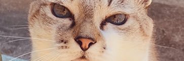 💋 banner