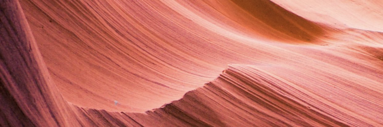AriannaDaRos's profile banner image