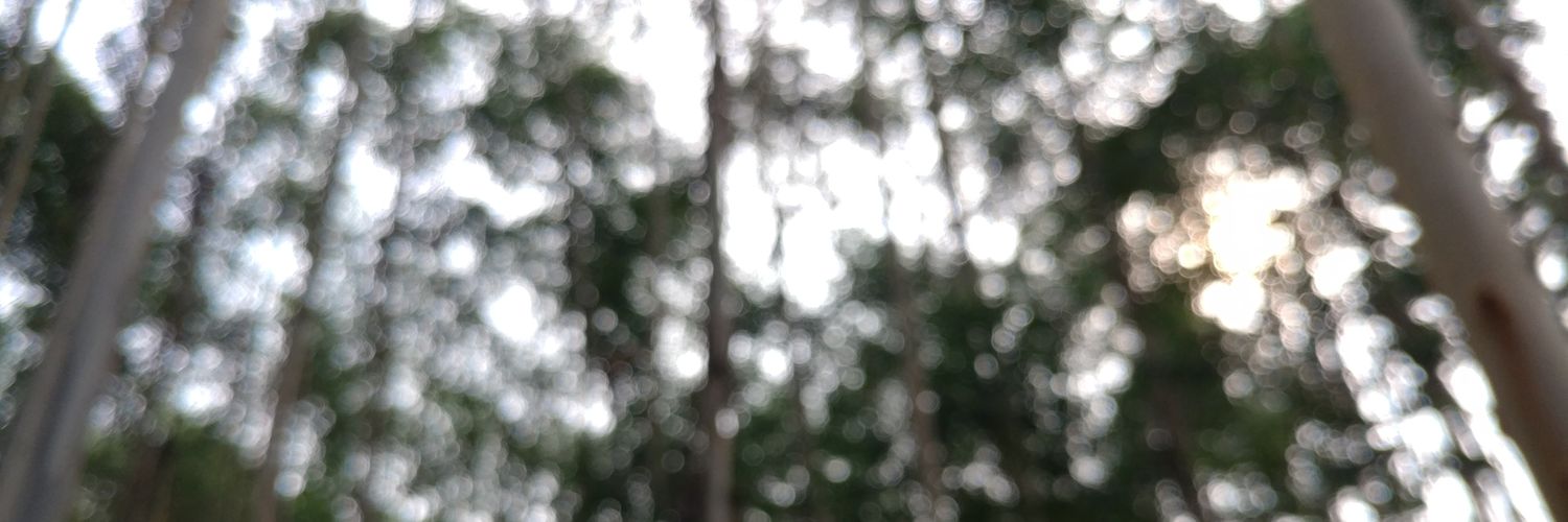misaka00251's profile banner image