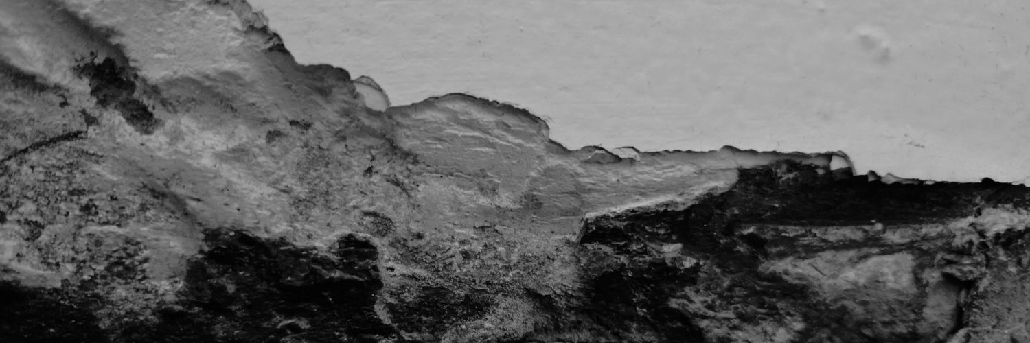 zeca_buar's profile banner image