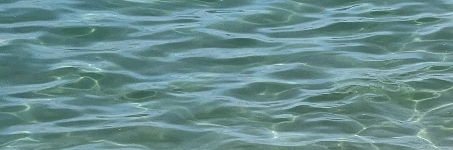 neveslvs's profile banner image
