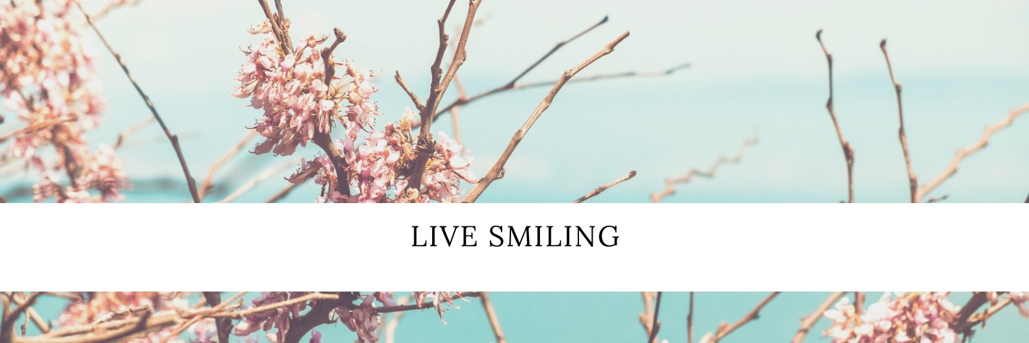 BringMePeace_'s profile banner image