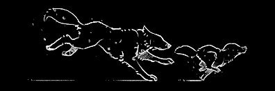 XeniaEmefa's profile banner image