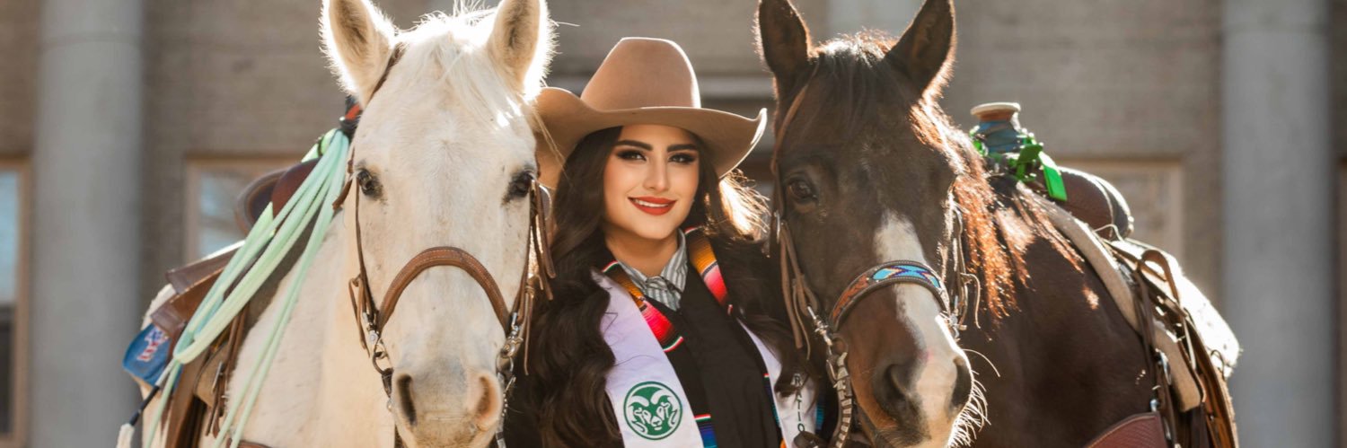 aliszey's profile banner image