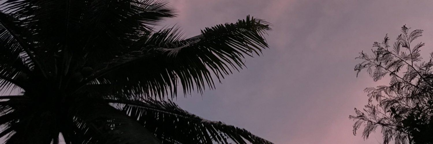 Heroinpop's profile banner image