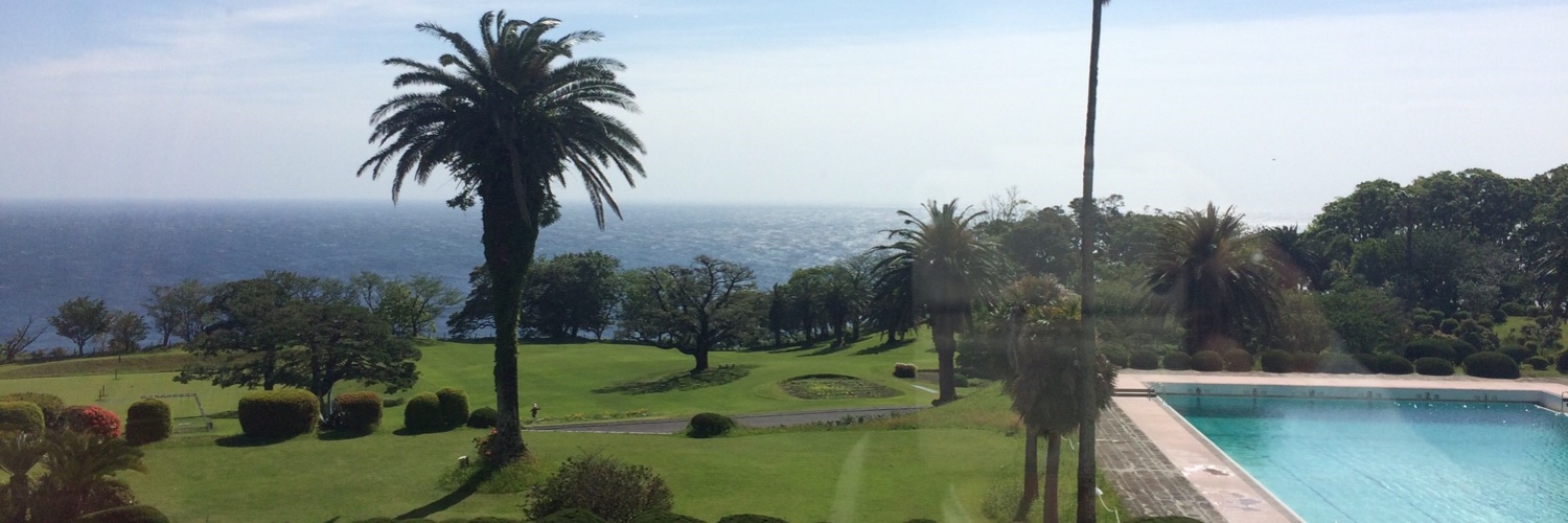 さなぴ🐣 banner