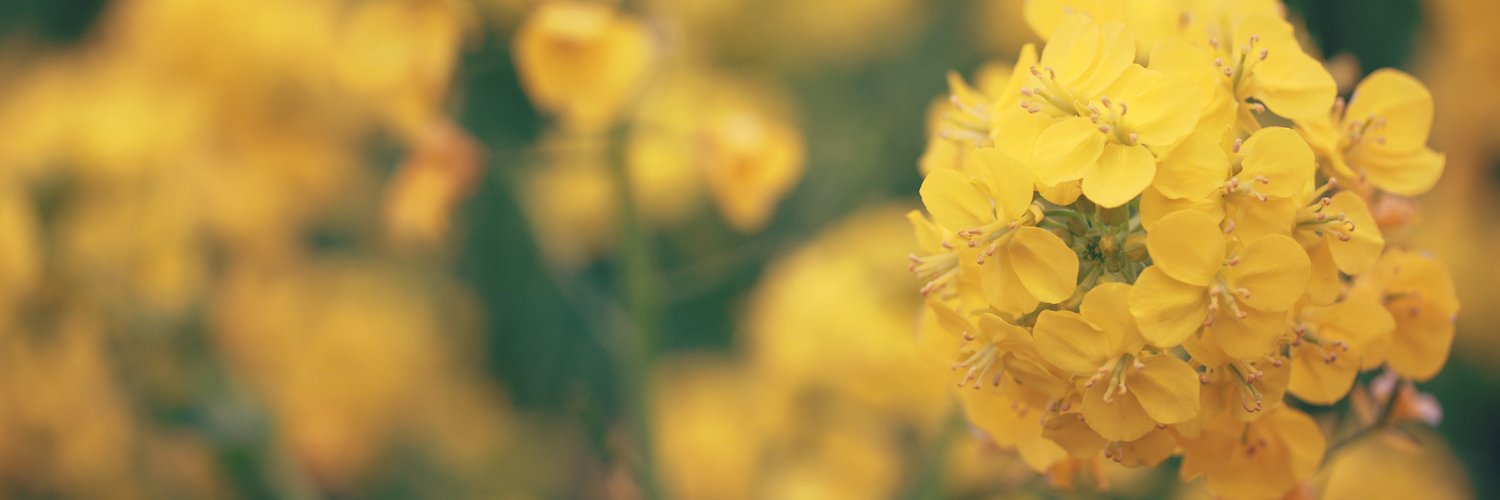 未来屋書店 入間店 banner