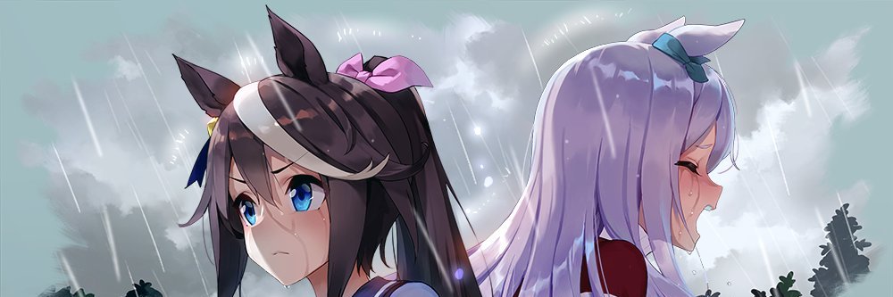 ohanabonboru's profile banner image