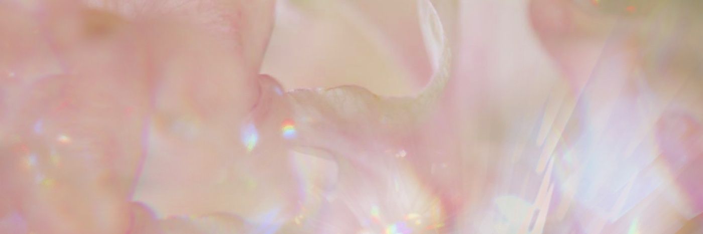 andiedreamer's profile banner image