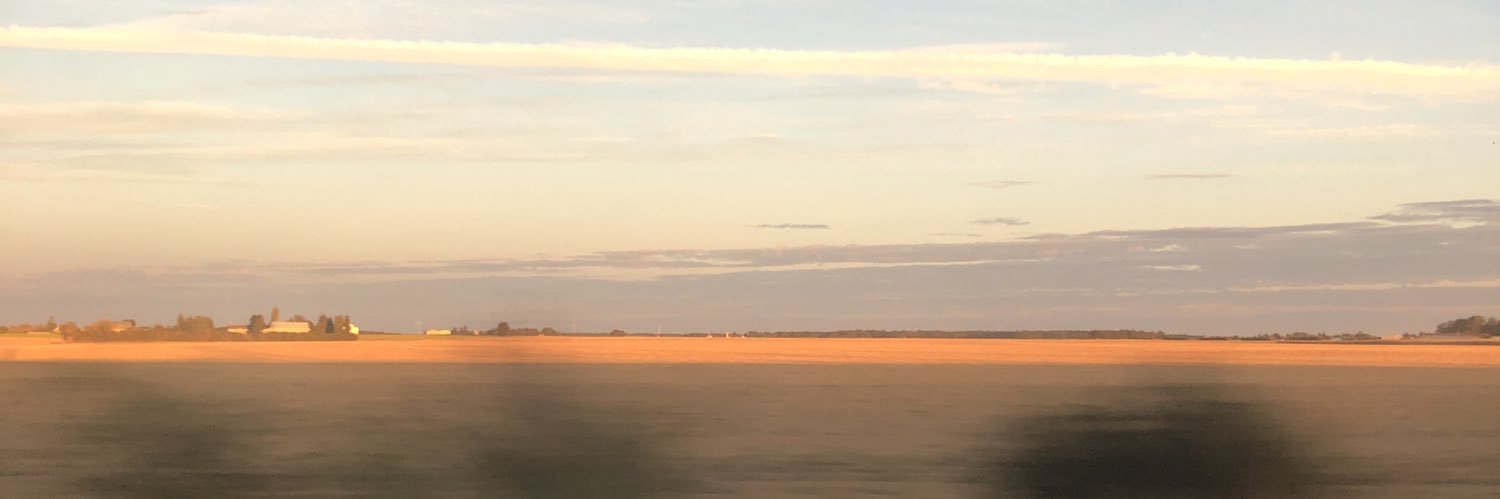 Bogoa banner