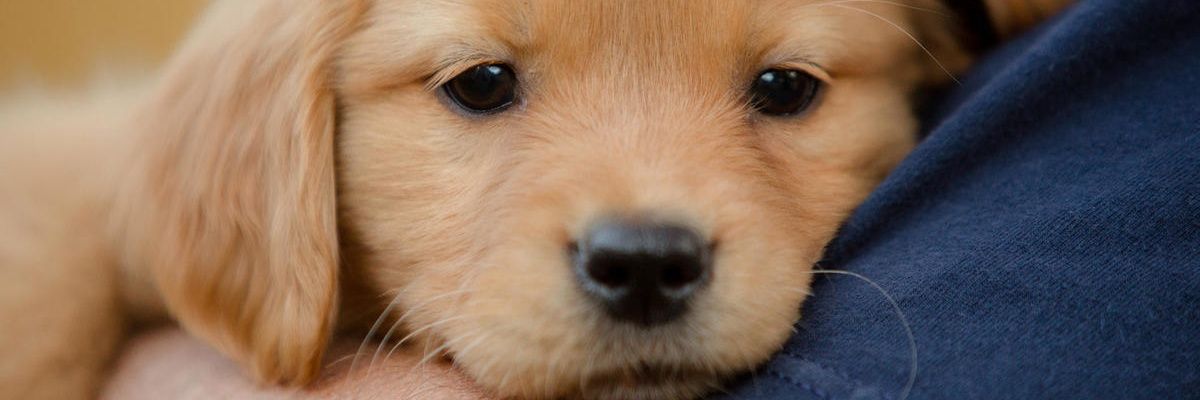 qtykangs's profile banner image