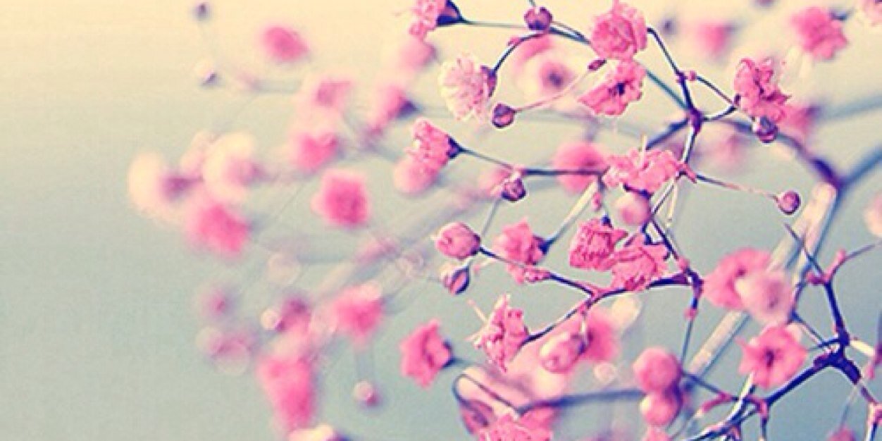 FannyCastiillo's profile banner image