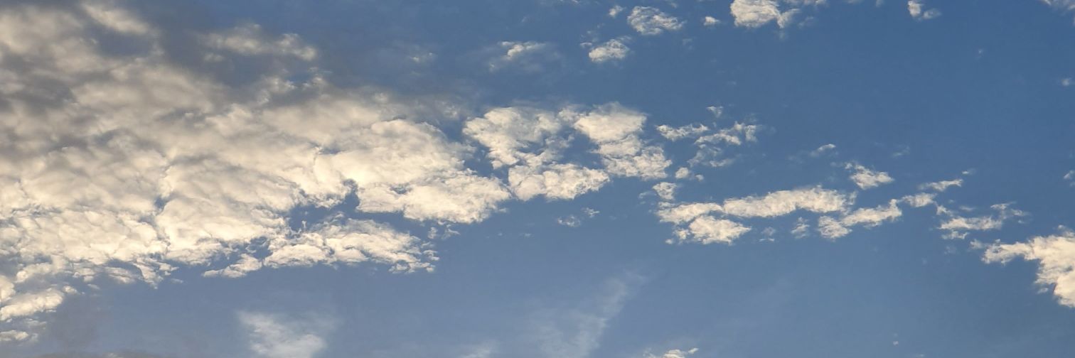 calm_meh's profile banner image