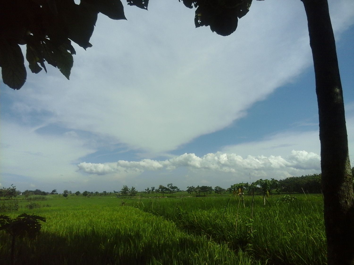 asikdompeng's profile banner image