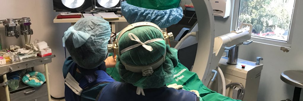 Carolina Haylock L. banner