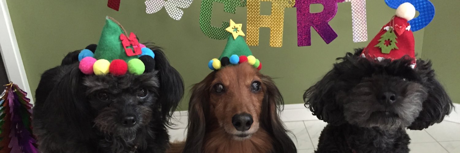 Kingofdog_Kobe's profile banner image