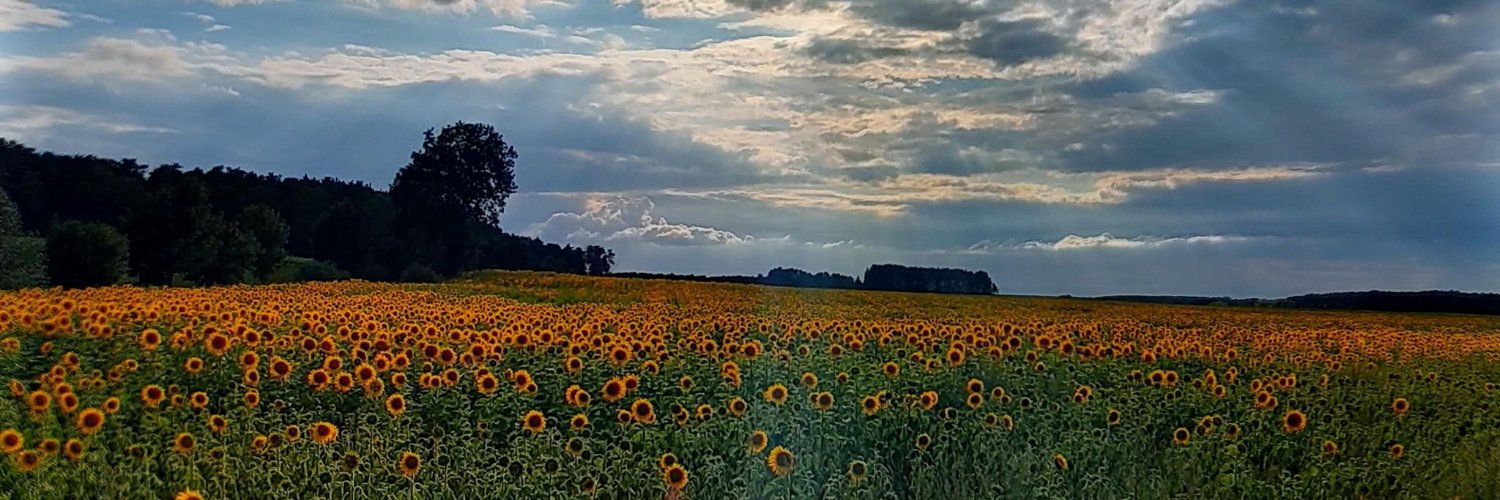 PiotrSow's profile banner image