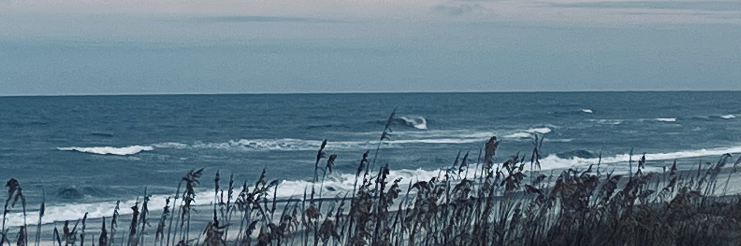 Mark H banner