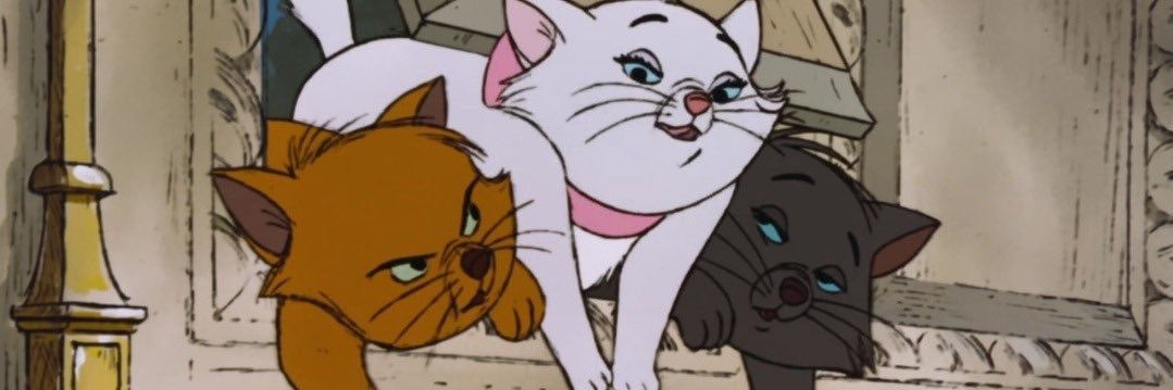 npxbb's profile banner image