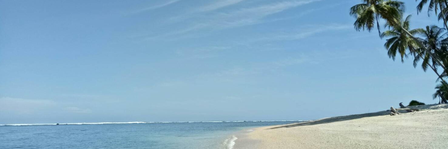 Nikanikuuu's profile banner image