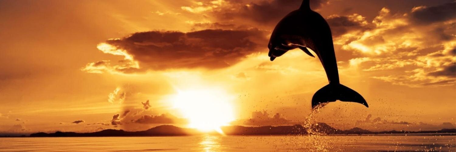 silviamt84's profile banner image