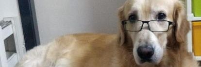 bookoon's profile banner image
