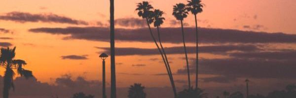MurphyTomy's profile banner image
