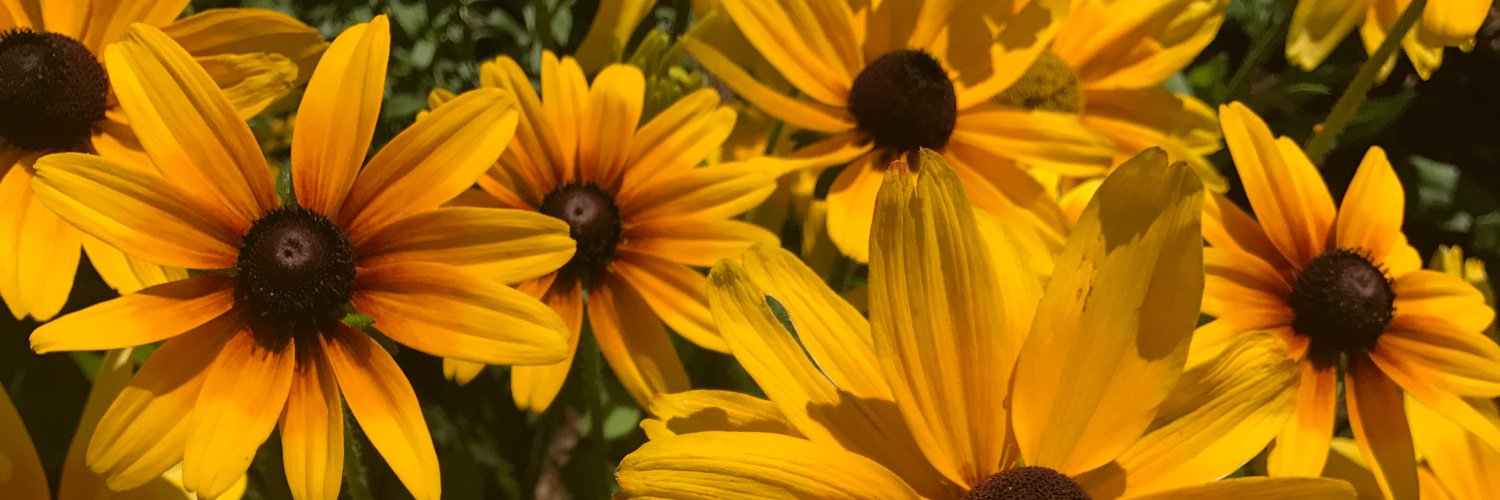 SheriGregg2's profile banner image