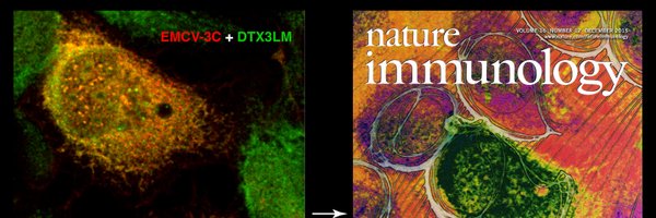 MJHoltzmanlab Profile Banner