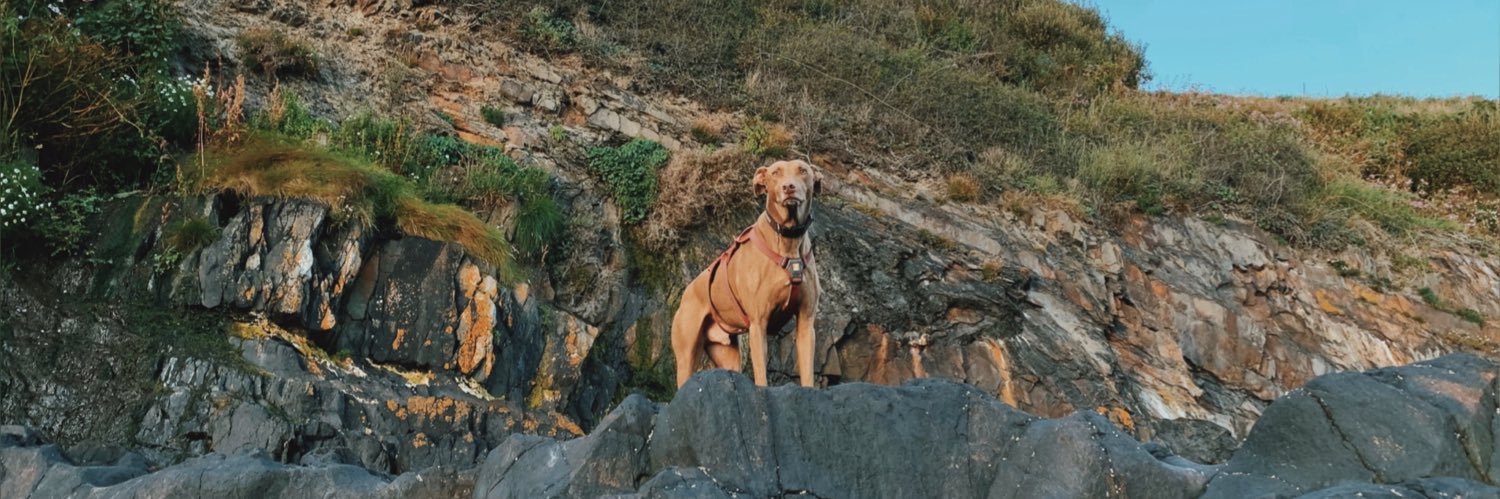 RaeCarr_'s profile banner image
