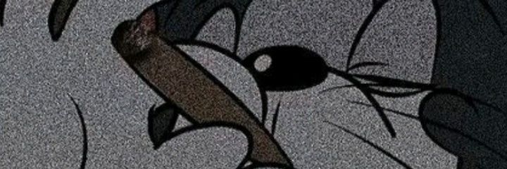 LU2K1NH4S's profile banner image
