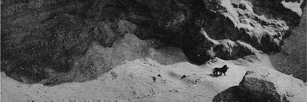 cosmojis Profile Banner