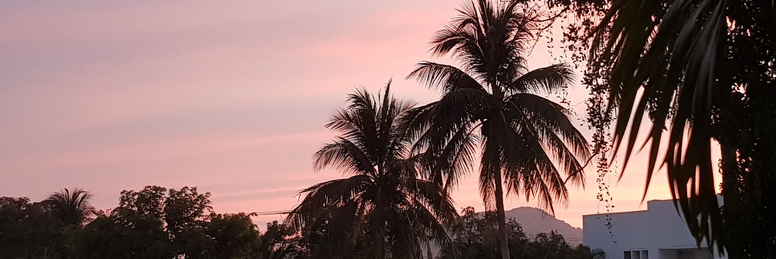 Lwissan's profile banner image