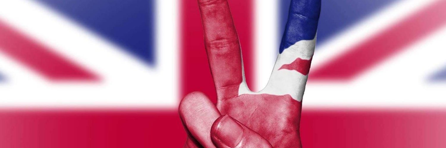 No_2_EU's profile banner image