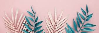 Amelia banner