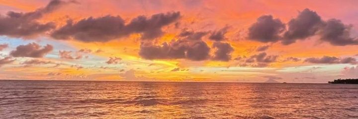 MonikaYuza's profile banner image