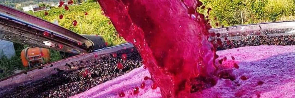 tastingescapes's profile banner image