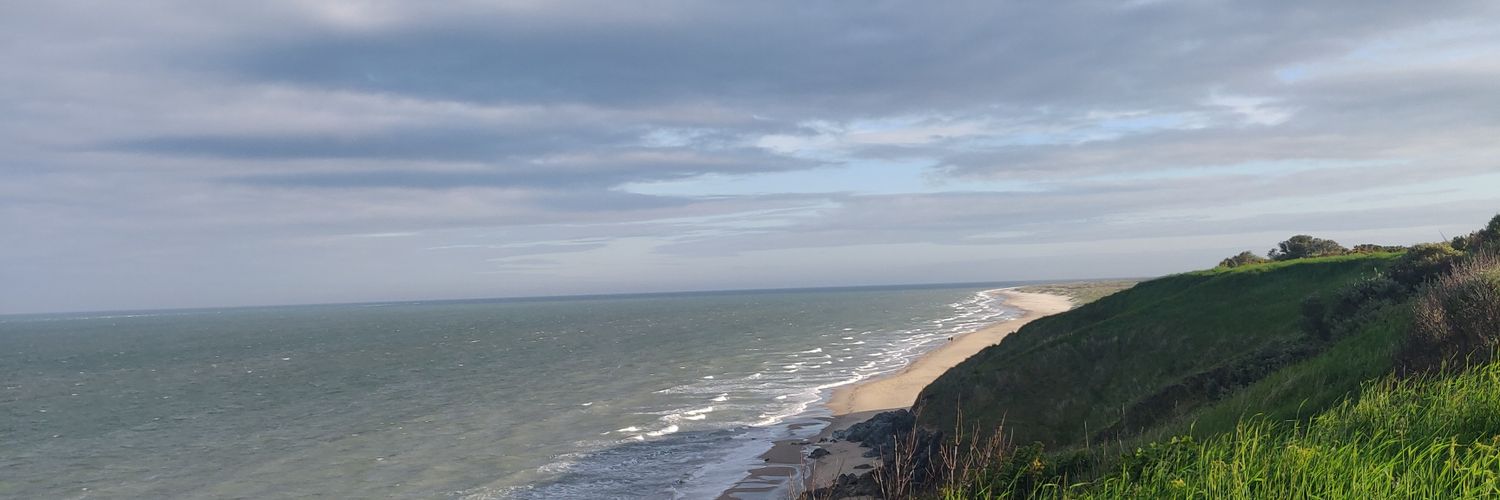 m1cknolan's profile banner image