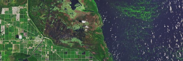 RFFvaluables Profile Banner