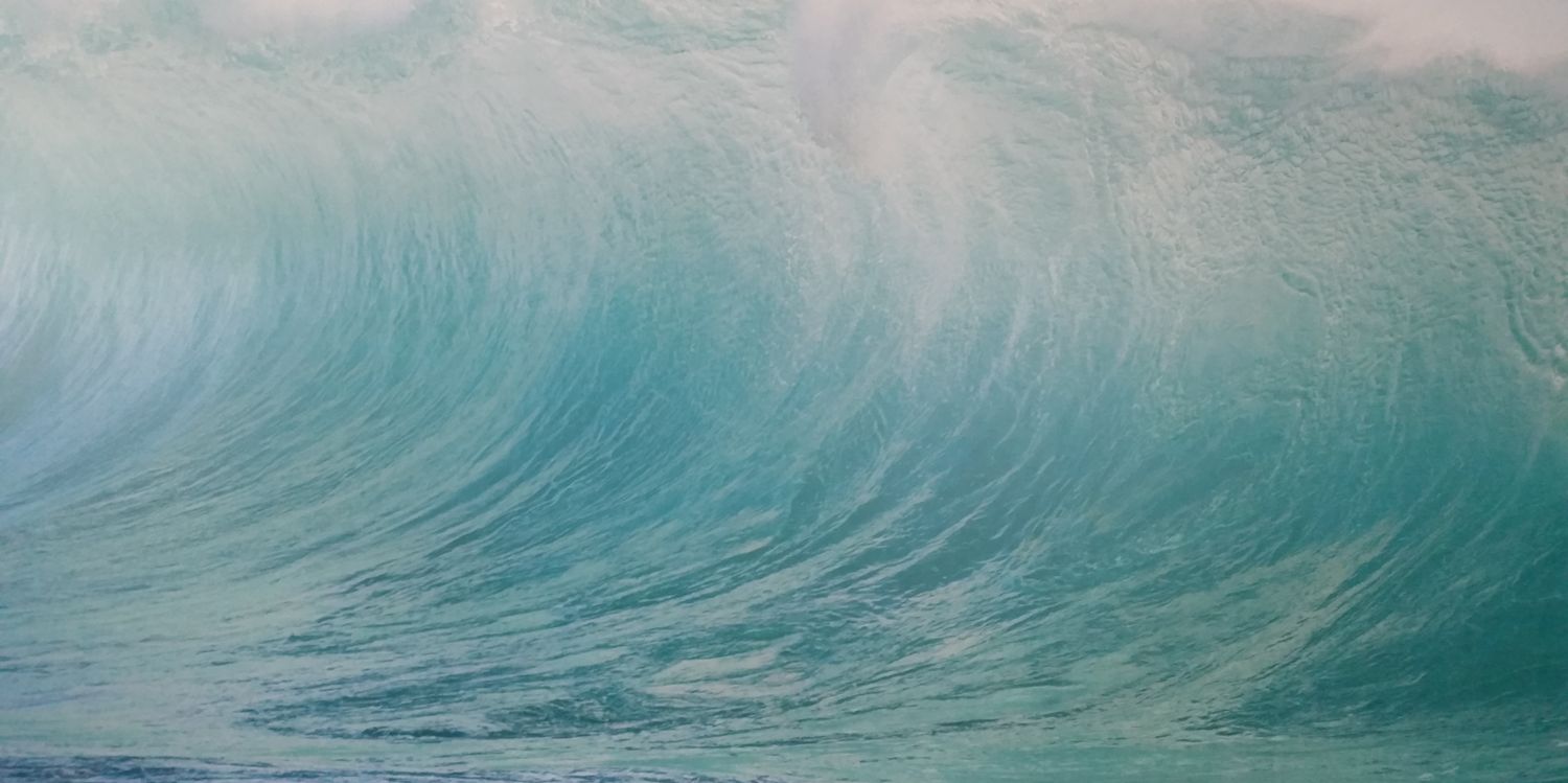 Diana Malczewski banner