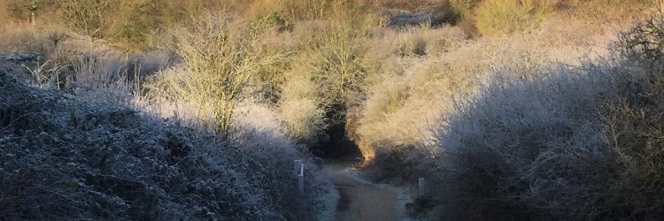 Runningmum4's profile banner image