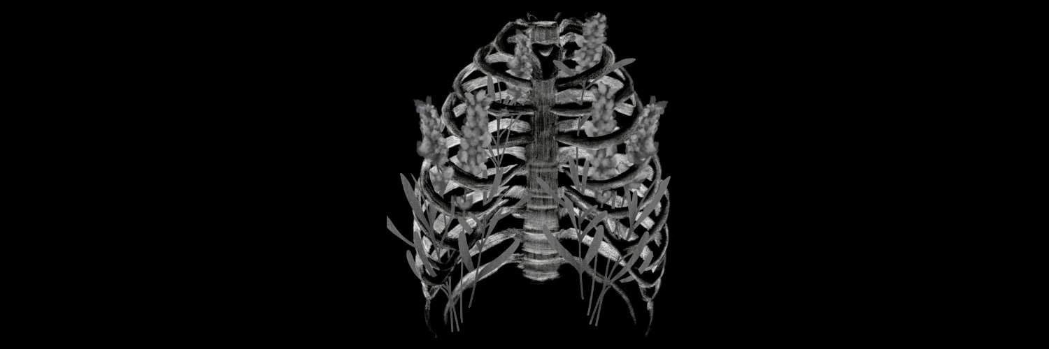 Kiera Mcgrory Design banner