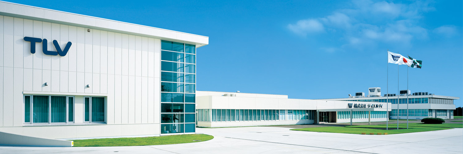 myTLV's profile banner image