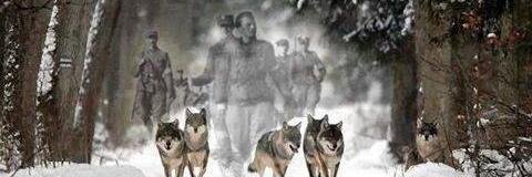 Forever_Polska's profile banner image