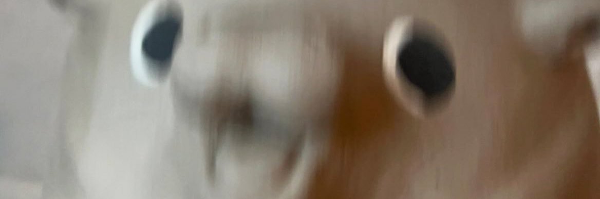 克羅山Kelosam banner