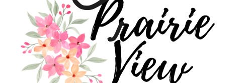 Michelle Krell banner