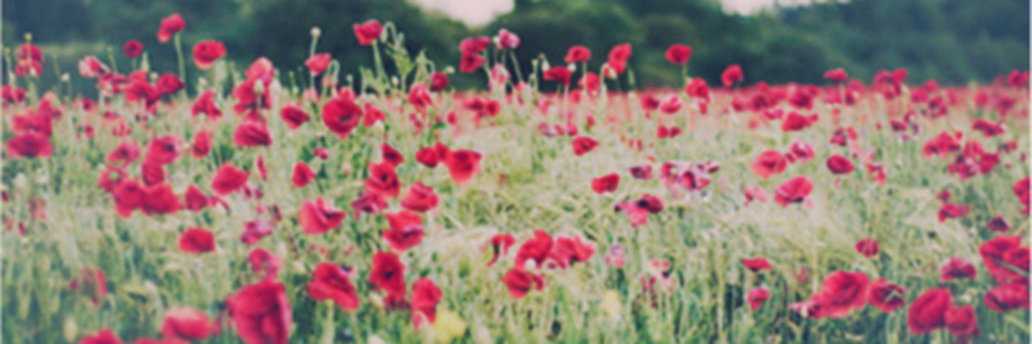 lexiicoz's profile banner image