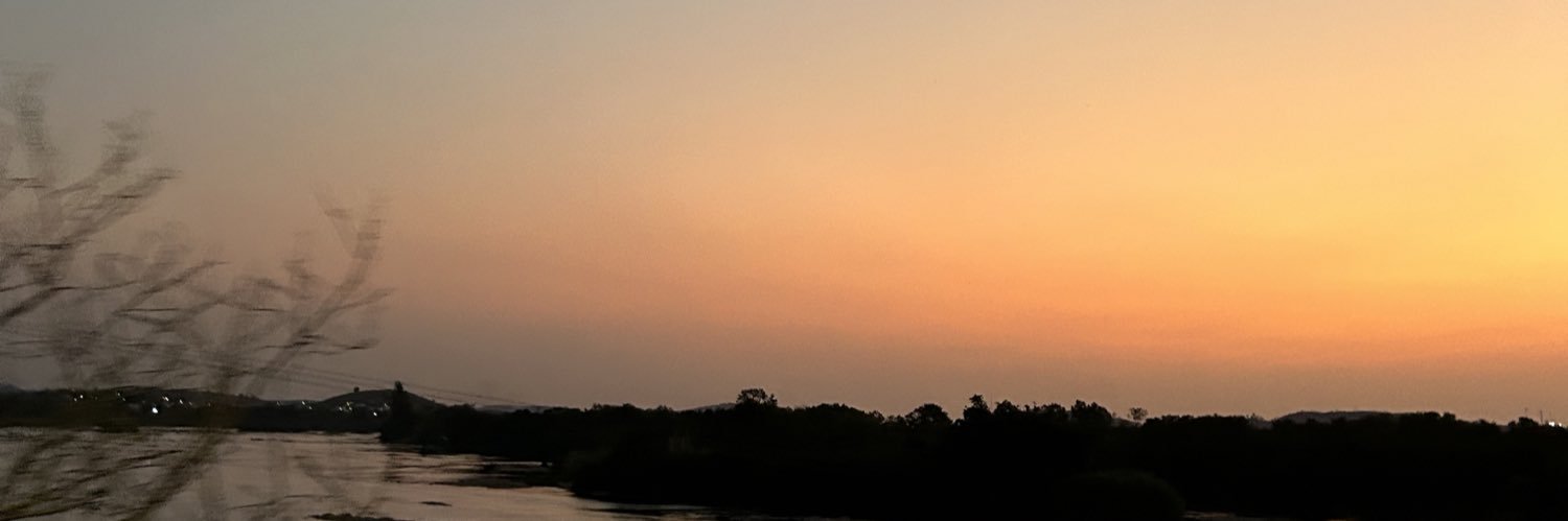 wfbraga's profile banner image