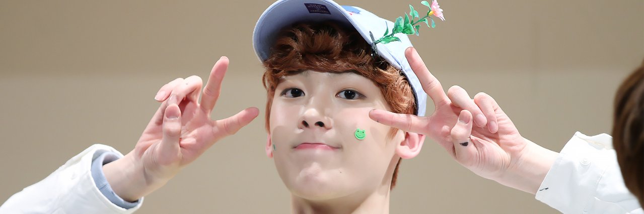 beagleyoons's profile banner image